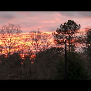 Meet your Posher, Marcus